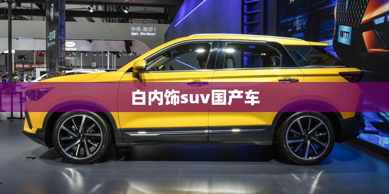 白内饰suv国产车