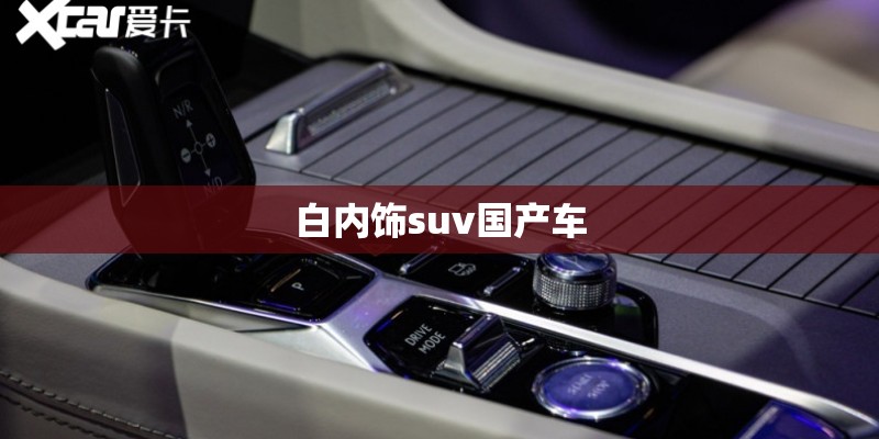 白内饰suv国产车