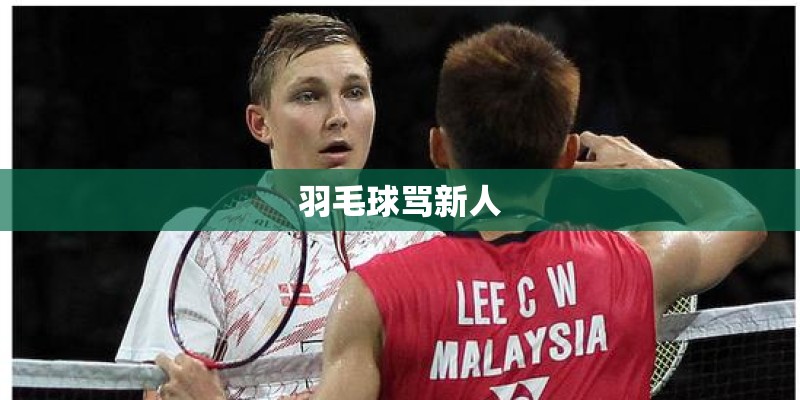 羽毛球骂新人