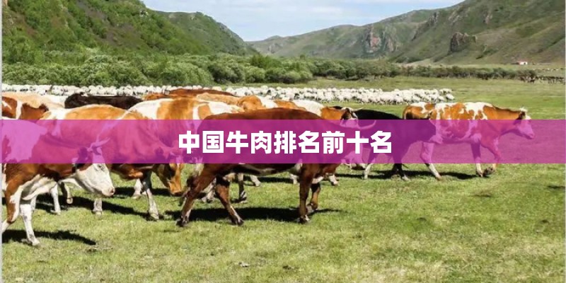 中国牛肉排名前十名 中国牛肉排名前十名