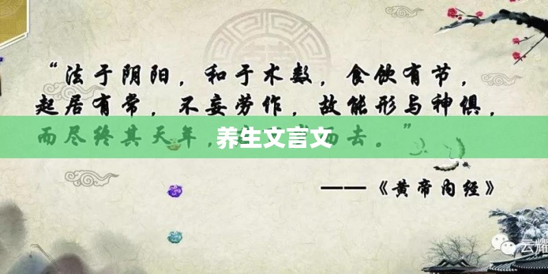 超拽高冷句子 文案短句干净霸气(精选74句)