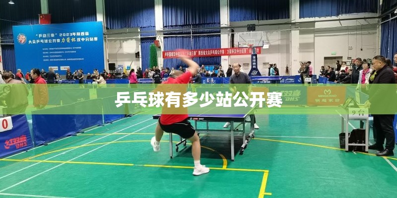 乒乓球有多少站公开赛 乒乓球有多少站公开赛