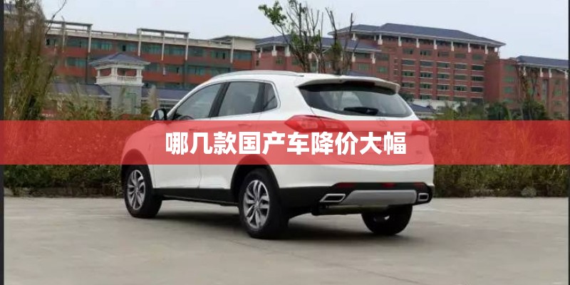 哪几款国产车降价大幅