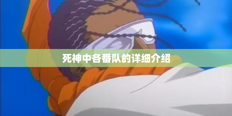 死神中各番队的详细介绍 死神中各番队的详细介绍