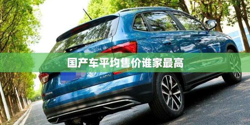 国产车平均售价谁家最高