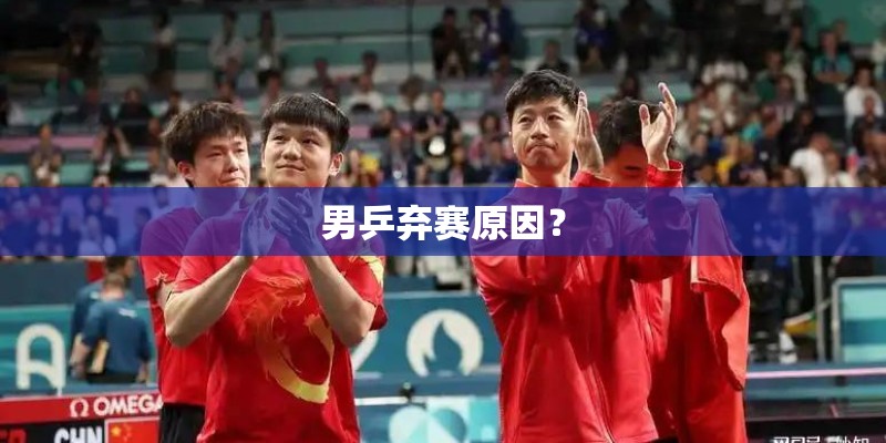 男乒弃赛原因？