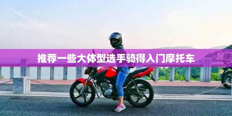 推荐一些大体型选手骑得入门摩托车