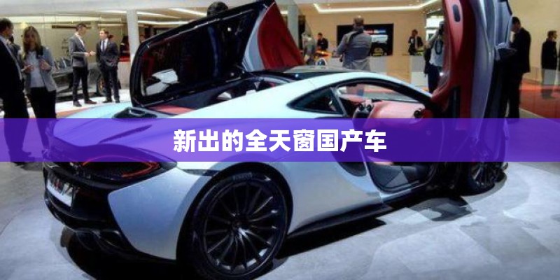 新出的全天窗国产车