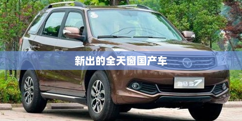 新出的全天窗国产车